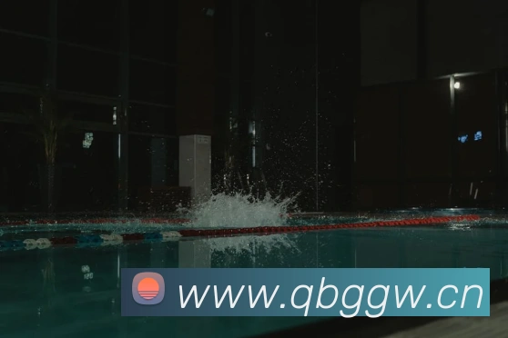 压球首页平台生态图